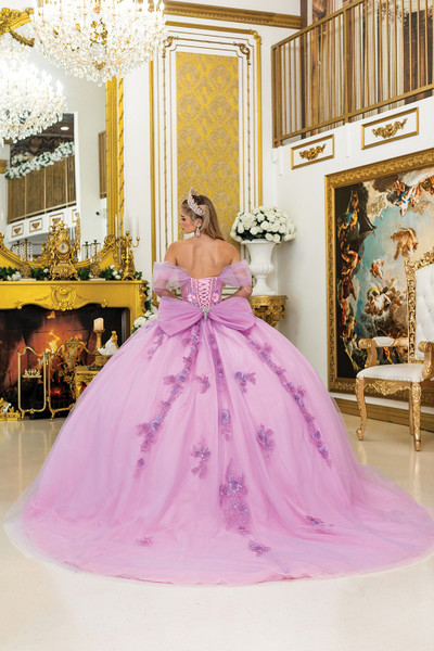 Dancing Queen 5046 Floral Embroidery Quinceanera Long Dress