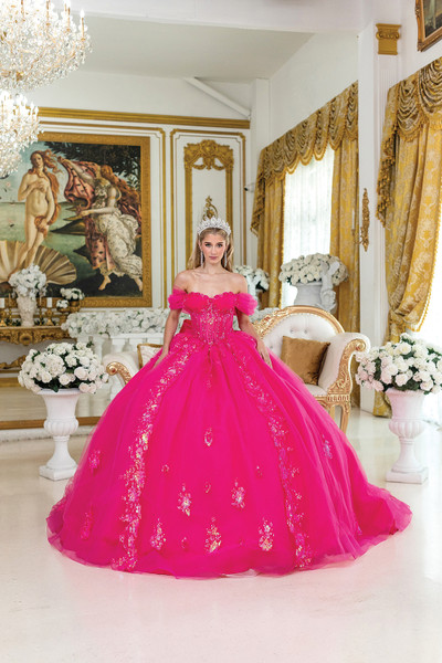 Dancing Queen 5006 Floral Embroidery Quinceanera Long Dress