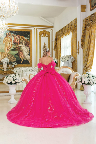 Dancing Queen 5006 Floral Embroidery Quinceanera Long Dress