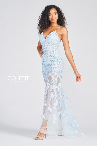 Colette by Daphne CL12254 Lace Tulle V-neck Sleeveless Gown