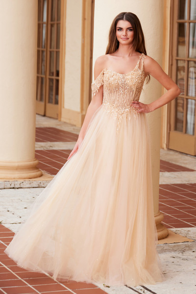 Nox Anabel F1567 Embroidered Sheer Boned Waist Prom Dress