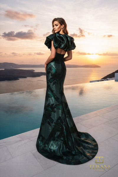 Terani Couture 261E6268 Jacquard V Neck Sleeveless Long Gown