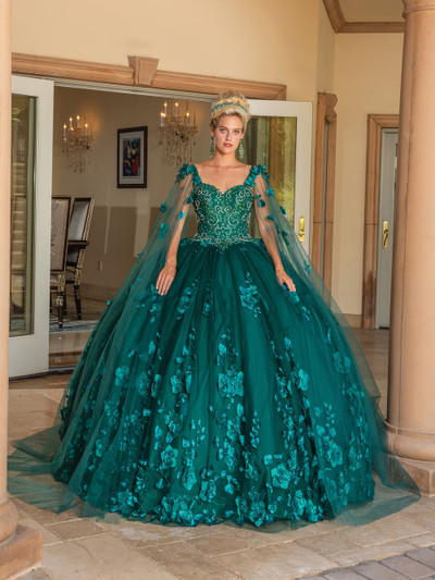 Dancing Queen 1693 Floral Embroidered Quinceanera Ballgown