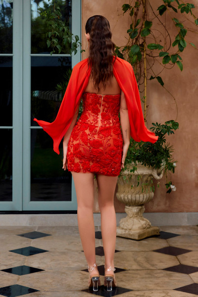 Portia and Scarlett PS26741 Novelty Strapless Short Dress