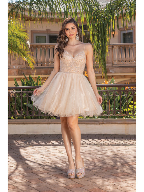 Dancing Queen 3336 Strap Sleeves V-neck Homecoming Dress