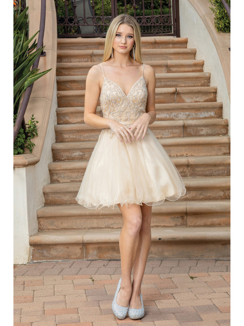 Dancing Queen 3315 Strap Sleeves V-neck Homecoming Dress