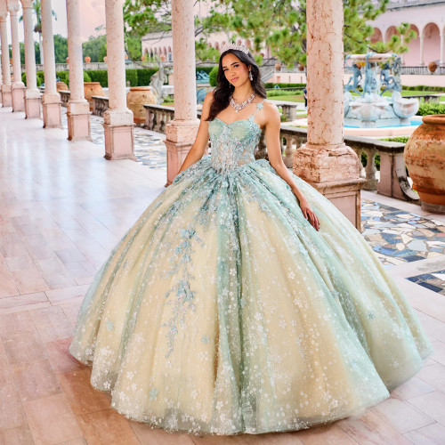 Princesa by Ariana Vara PR30158 Flower Appliques Tulle Gown