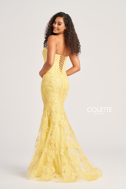 Colette by Daphne CL5123 Tulle Lace Applique Long Dress