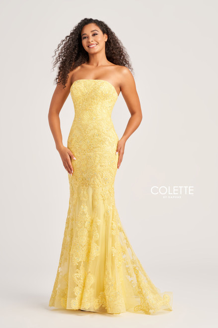 Colette by Daphne CL5123 Tulle Lace Applique Long Dress