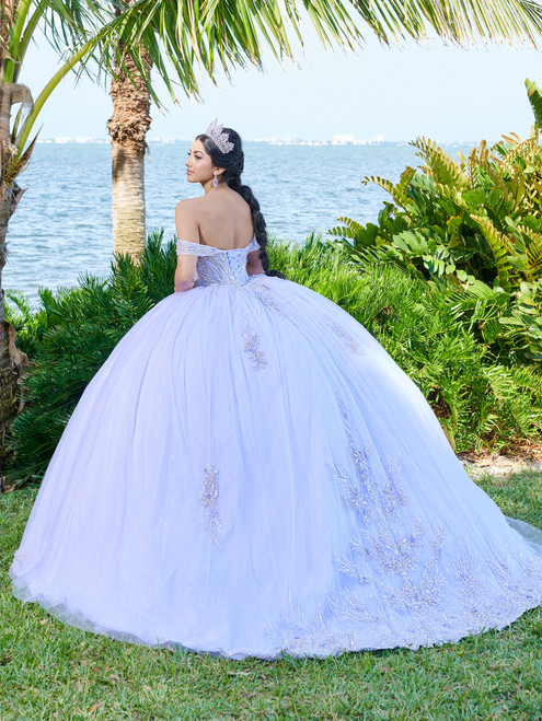 Fiesta Gowns 56493 Lace Tulle Off Shoulder Sleeve Ball Gown