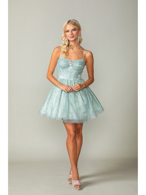 Dancing Queen 3389 Sparkly Tulle Sleeveless Short Dress