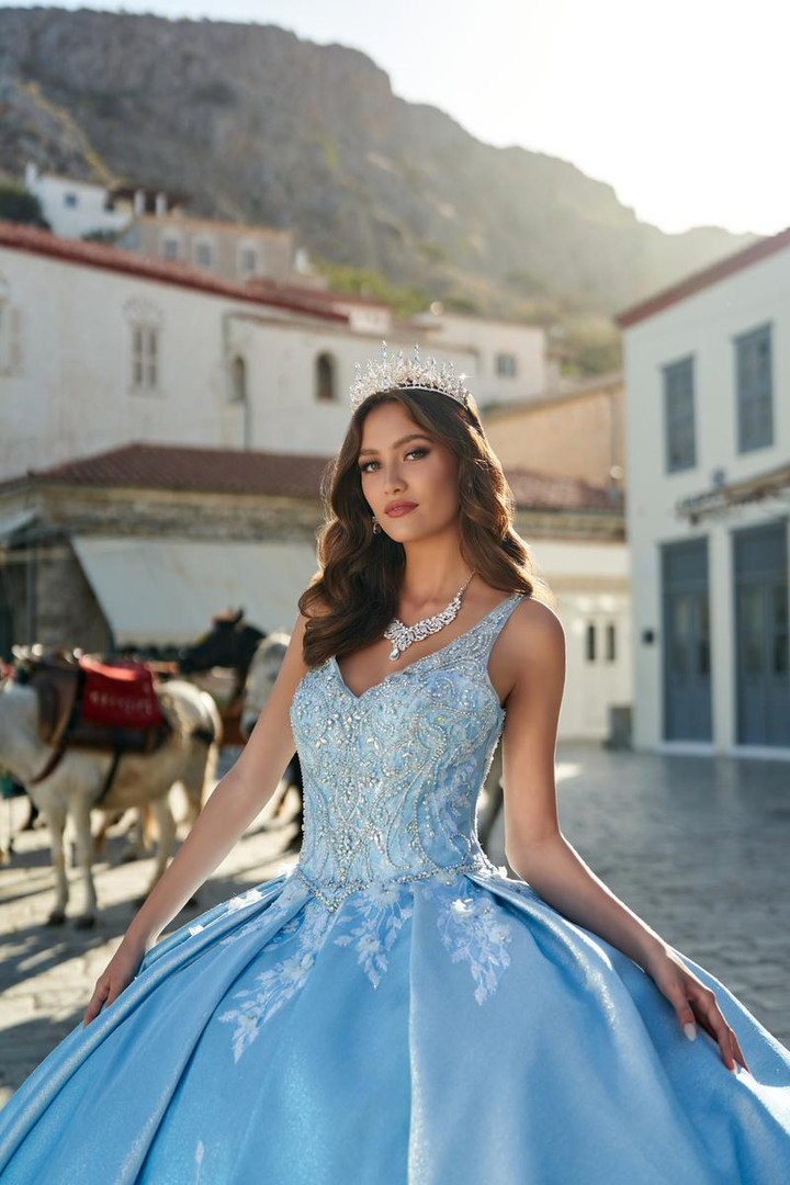 Princesa by Ariana Vara PR30081 Metallic Jacquard Ball Gown