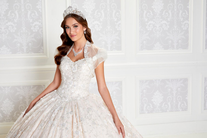 Princesa by Ariana Vara PR12266 Novelty Embroidery Lace Gown