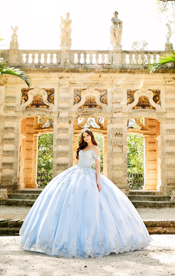 Princesa by Ariana Vara PR22032 Novelty Glitter Tulle Gown