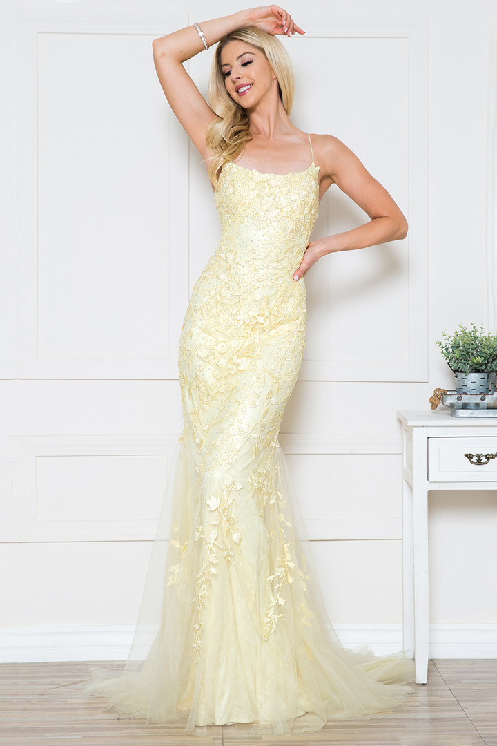 Amelia Couture 799 Mesh Embroidery Sleeveless Long Dress