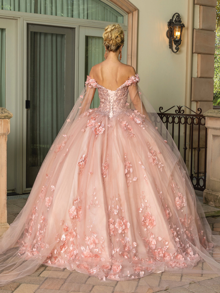 Dancing Queen 1695 V-Neck Strap Sleeve Quinceanera Gown