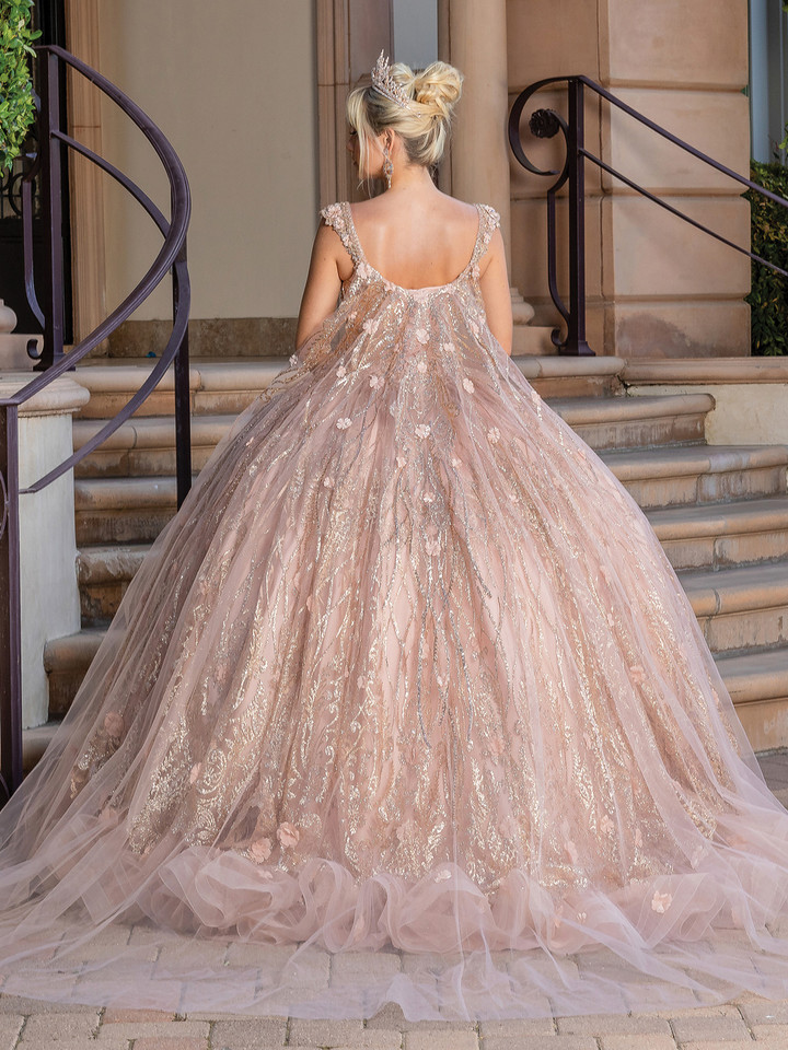 Dancing Queen 1692 V-Neck Strap Sleeve Quinceanera Gown