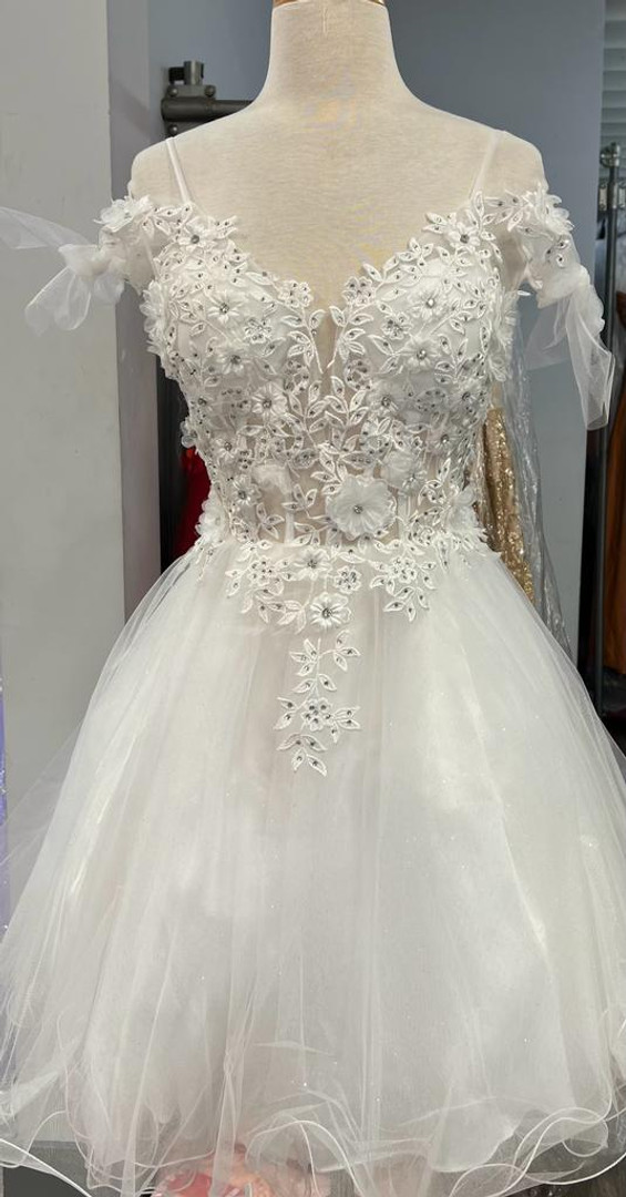 Dancing Queen 3339 Illusion V-neck Floral Applique Dress
