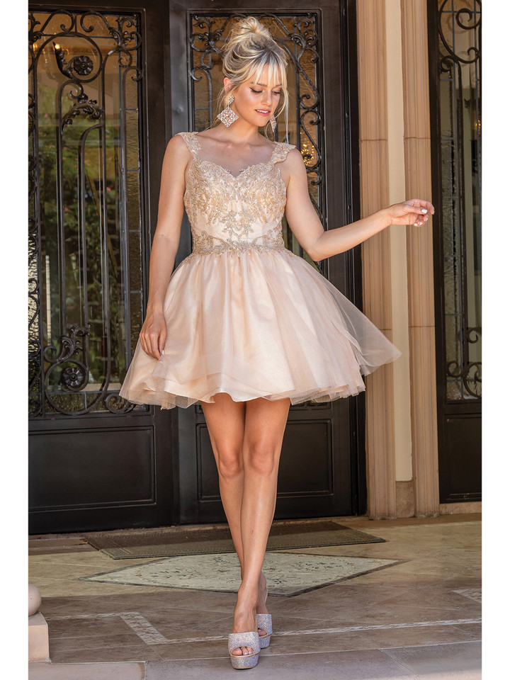 Dancing Queen 3287 Sweater Neck Sleeveless Homecoming Dress
