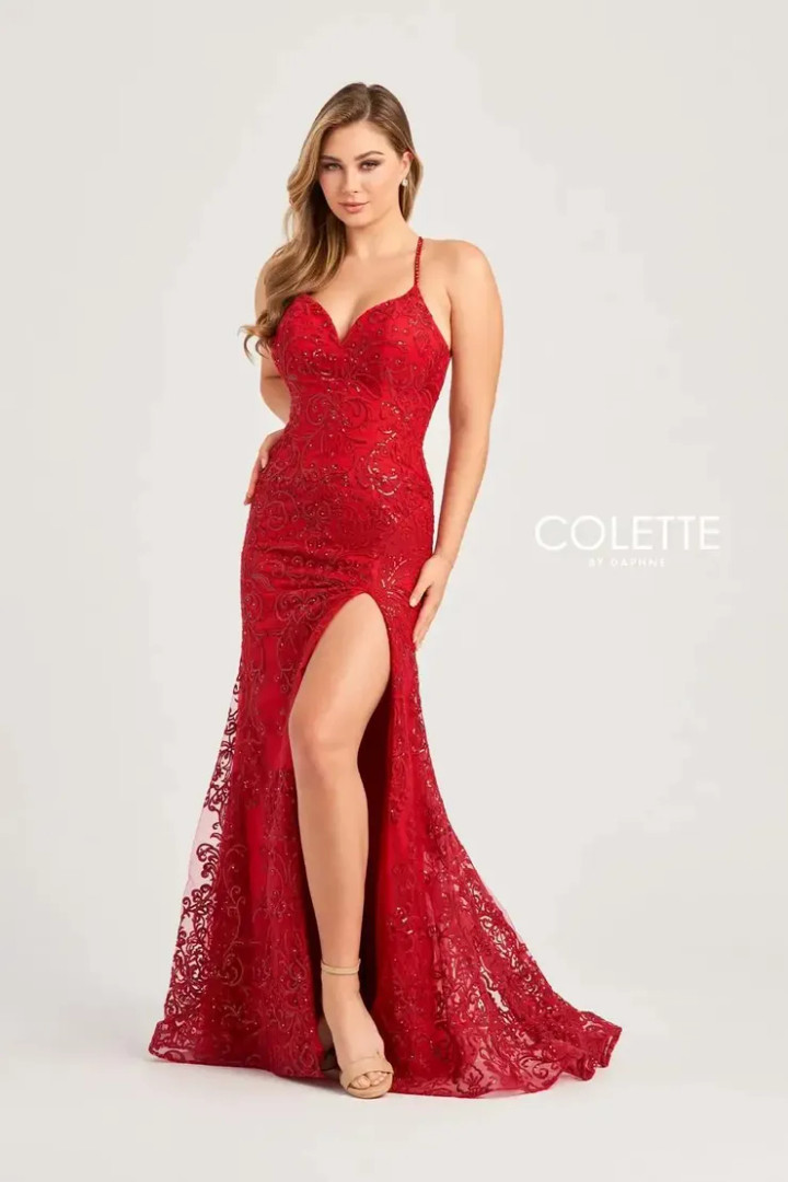 Colette by Daphne CL5194 Embroidered Tulle Sequin Dress