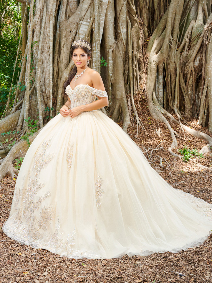 Fiesta Gowns 56493 Lace Tulle Off Shoulder Sleeve Ball Gown