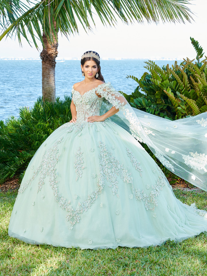Fiesta Gowns 56498 Lace Tulle Spaghetti Strap Long Ball Gown