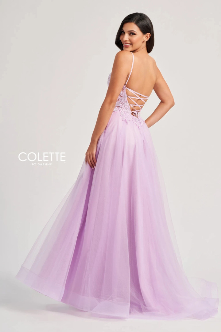 Colette by Daphne CL8100 Novelty Lace Tulle Lining Dress