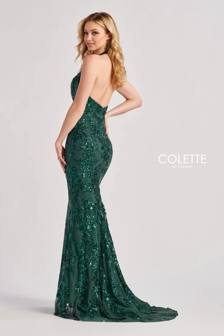 Colette by Daphne CL8495 Embroidered Sequin Mesh Long Dress