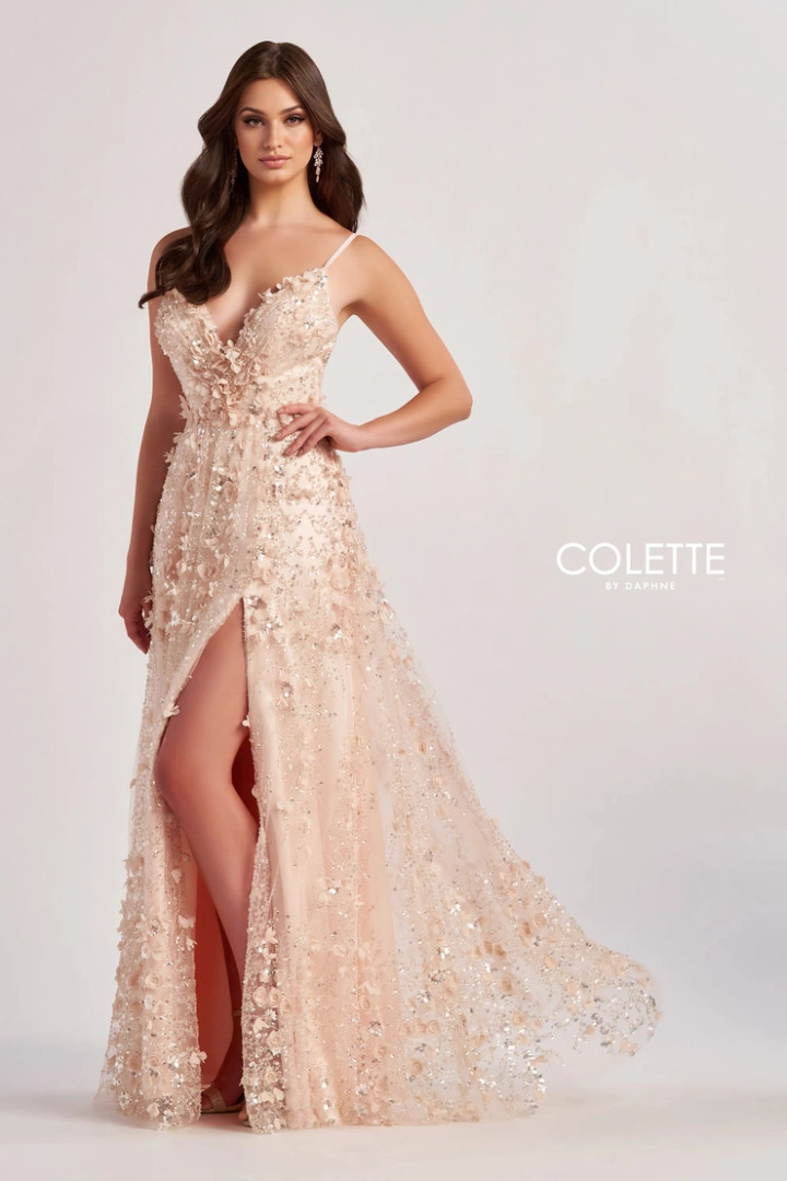Colette by Daphne CL8525 Embroidered Sequin Lining Dress