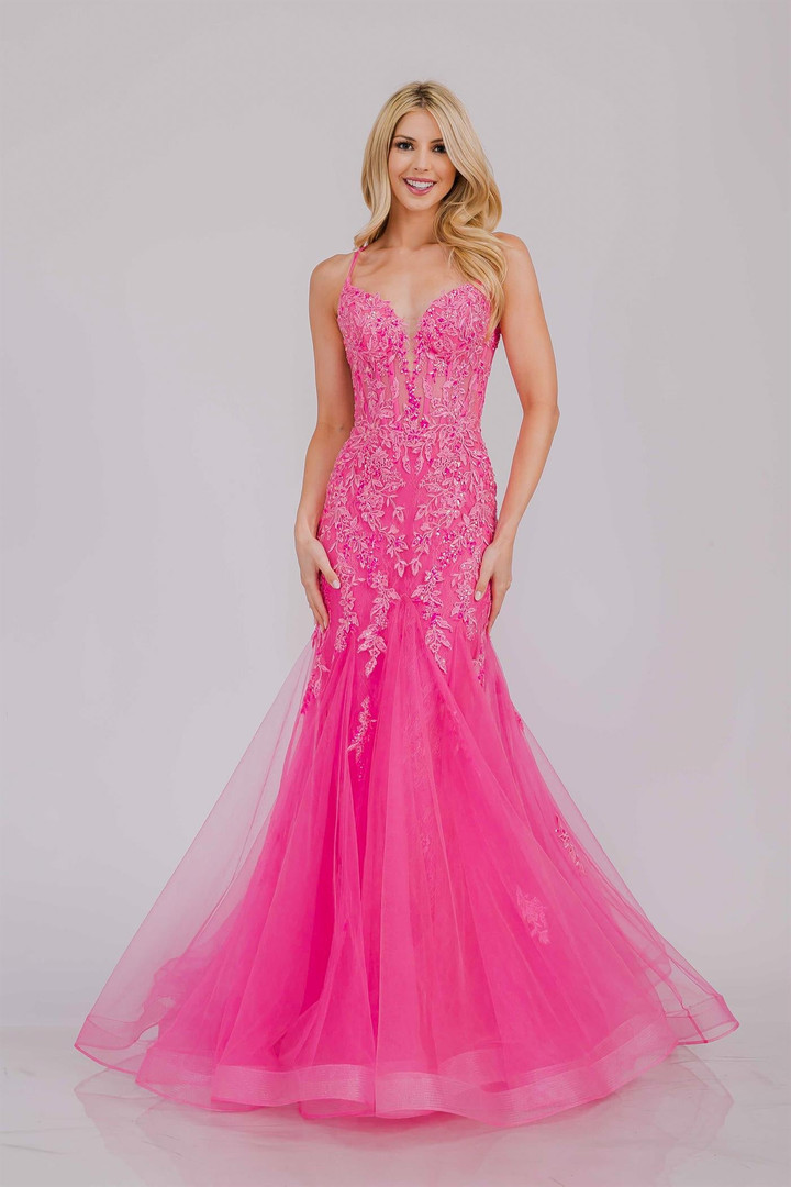 Amelia Couture 2120 Tulle Illusion V-neck Sleeveless Gown