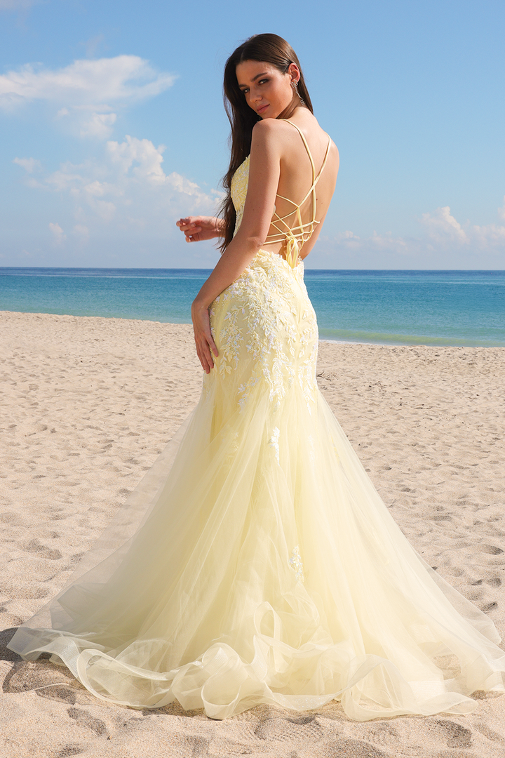 Amelia Couture 2120 Tulle Illusion V-neck Sleeveless Gown