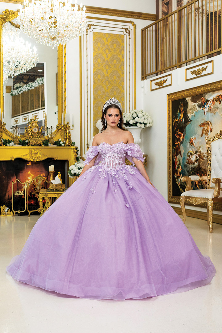 Dancing Queen 5008 Floral 3D Appliques Quinceanera Dress