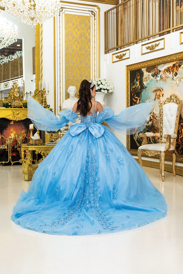 Dancing Queen 5029 Sheer Sleeves Floral Quinceanera Dress