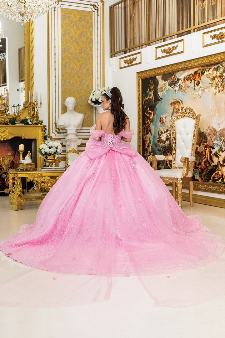 Dancing Queen 5040 Sheer Puff Sleeves Quinceanera Long Dress