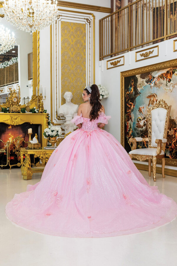 Dancing Queen 1990 Floral Embellishments Quinceanera Dress