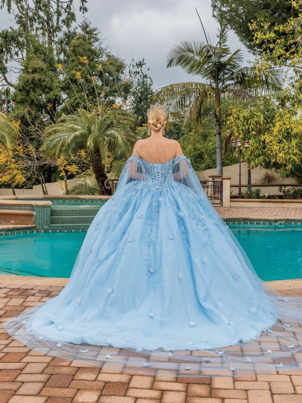 Dancing Queen 1889 Floral Embroidery Beads Quinceanera Dress