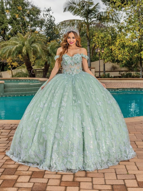 Dancing Queen 1897 Floral Embroidery Tulle Quinceanera Dress