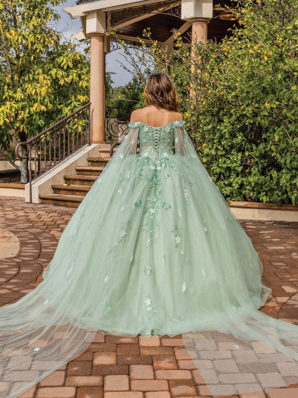 Dancing Queen 1840 Floral Appliques Beaded Quinceanera Dress