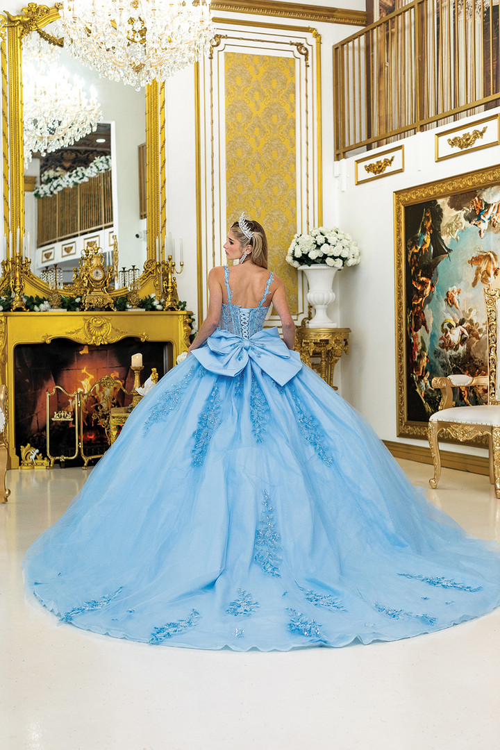 Dancing Queen 5046 Floral Embroidery Quinceanera Long Dress