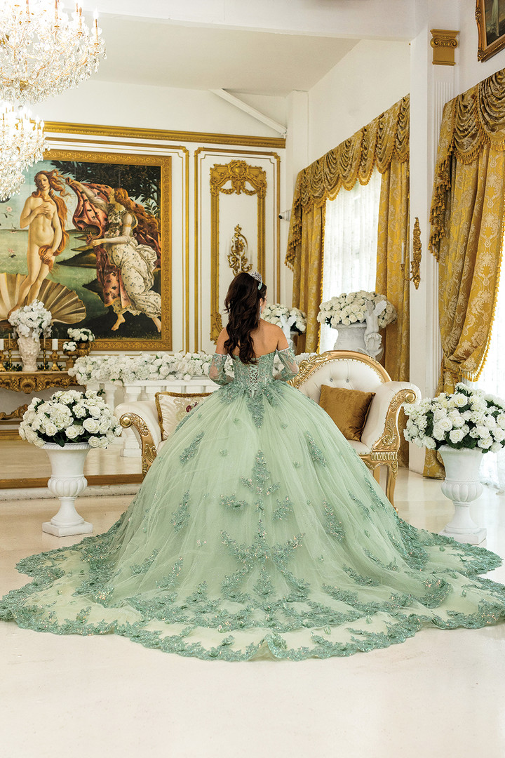 Dancing Queen 5047 Embroidered Lace Corset Quinceanera Dress