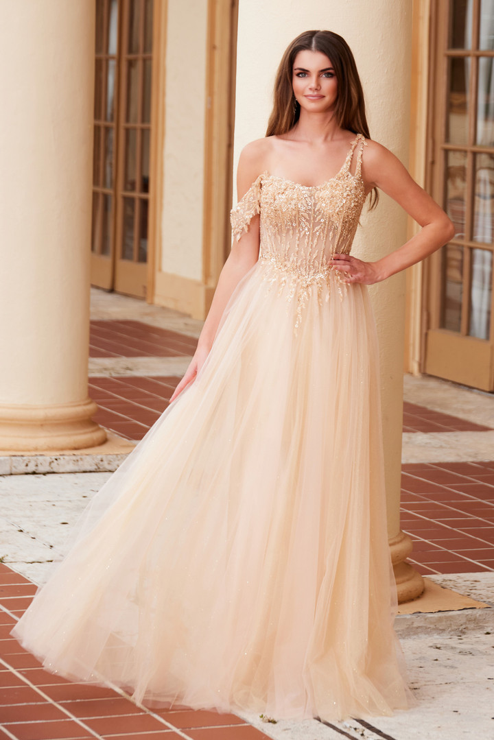 Nox Anabel F1567 Embroidered Sheer Boned Waist Prom Dress