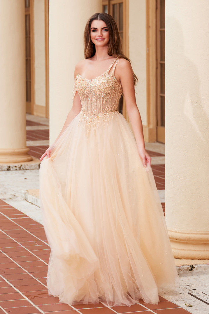 Nox Anabel F1567 Embroidered Sheer Boned Waist Prom Dress