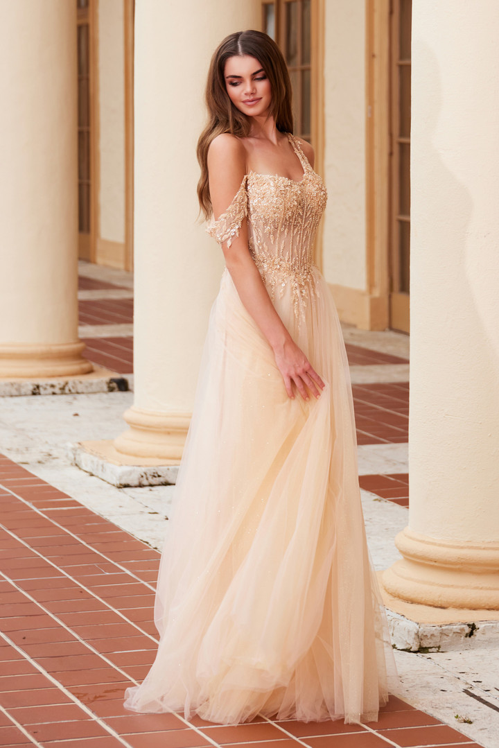 Nox Anabel F1567 Embroidered Sheer Boned Waist Prom Dress