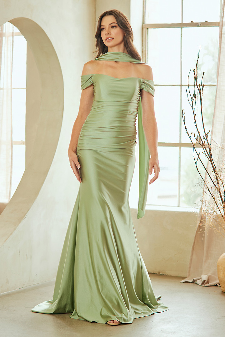 Amelia Couture 3101 Off Shoulder Sleeve Fitted Prom Dress