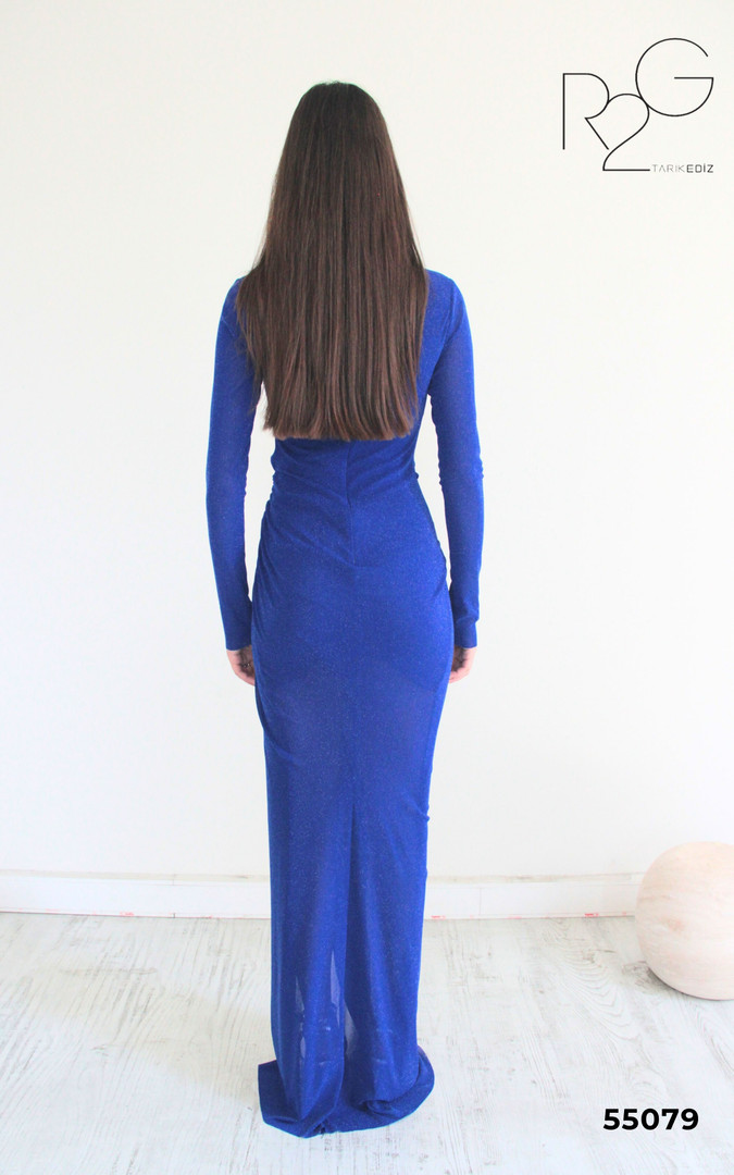 RG2 by Tarik Ediz 55079 Tulle High Neck Long Sleeve Dress