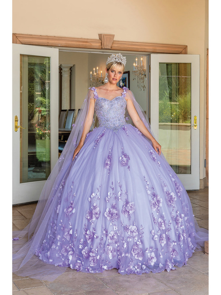 Dancing Queen 1693 Floral Embroidered Quinceanera Ballgown