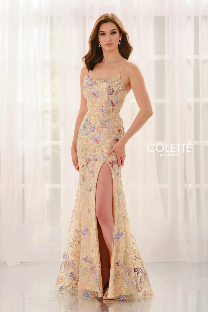 Colette by Daphne CL6143 Embroidered Tulle Sleeveless Dress