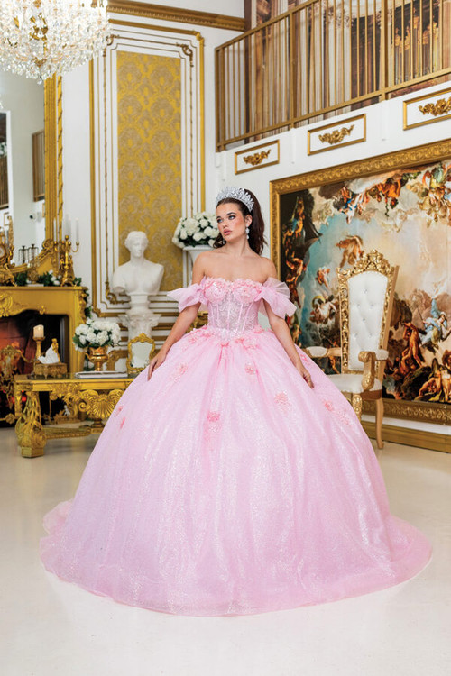 1990 formal dresses Dancing Queen Floral Embellishments Quinceanera Dress Christmas & Holiday Dresses