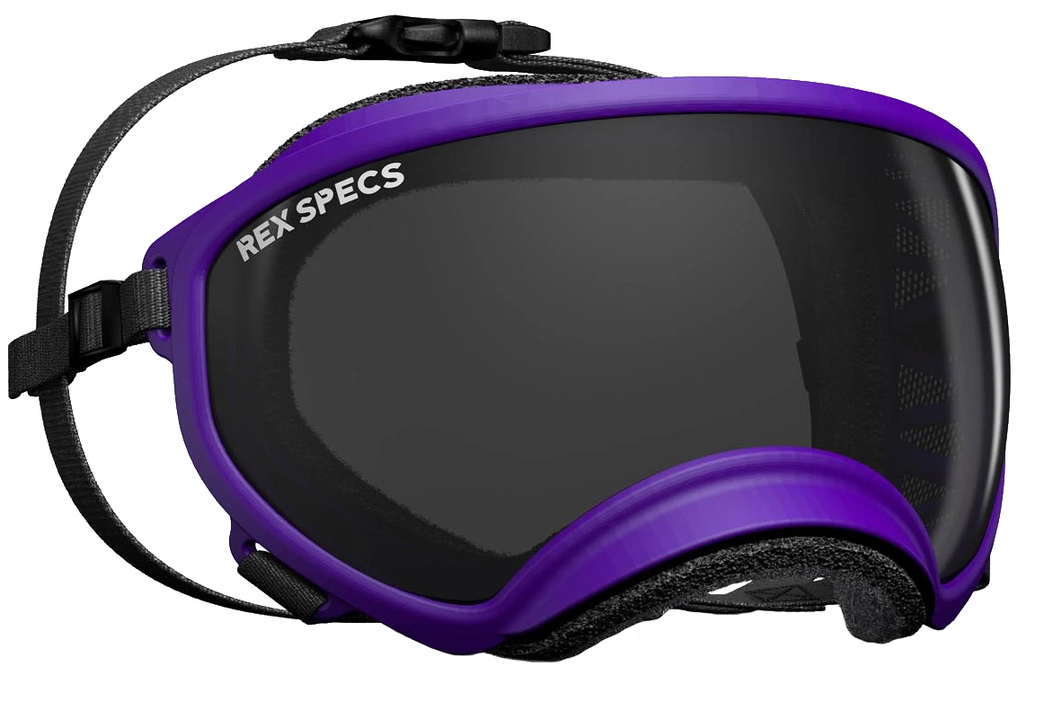 REXSPECS ドッグゴーグル PURPLE Rex SpecsＬサイズ Rex Specs Large Blue