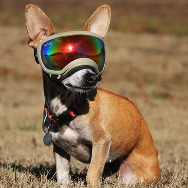 REX SPECS ゴーグル X-SMALL ピンク　新品未使用 X-Small Goggles for Dogs - V2 – Rex Specs